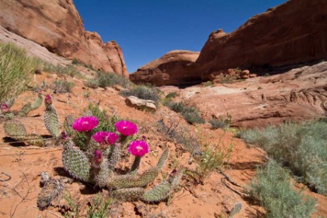 Grand Staircase Escalante National Monument