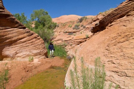 Grand Staircase Escalante National Monument