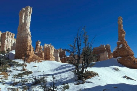 Bryce Canyon im Winter