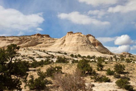 White Domes im Capitol Reef Nationalpark