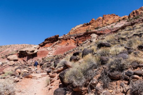 Cohab Canyon Trail