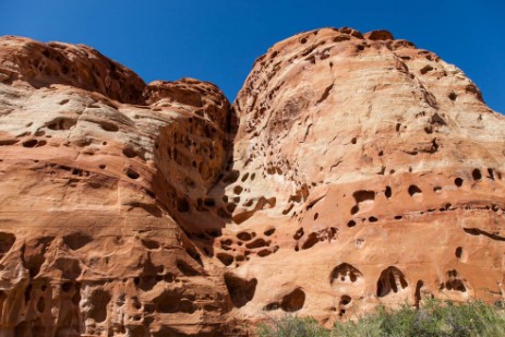 Cohab Canyon Trail