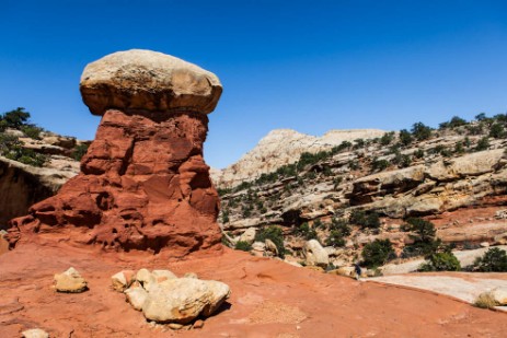 Cohab Canyon Trail