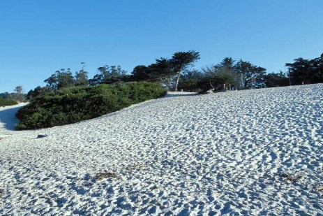 Carmel Beach