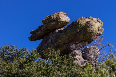 Duck on a Rock im Mushroom Rock im Chiricahua National Monument
