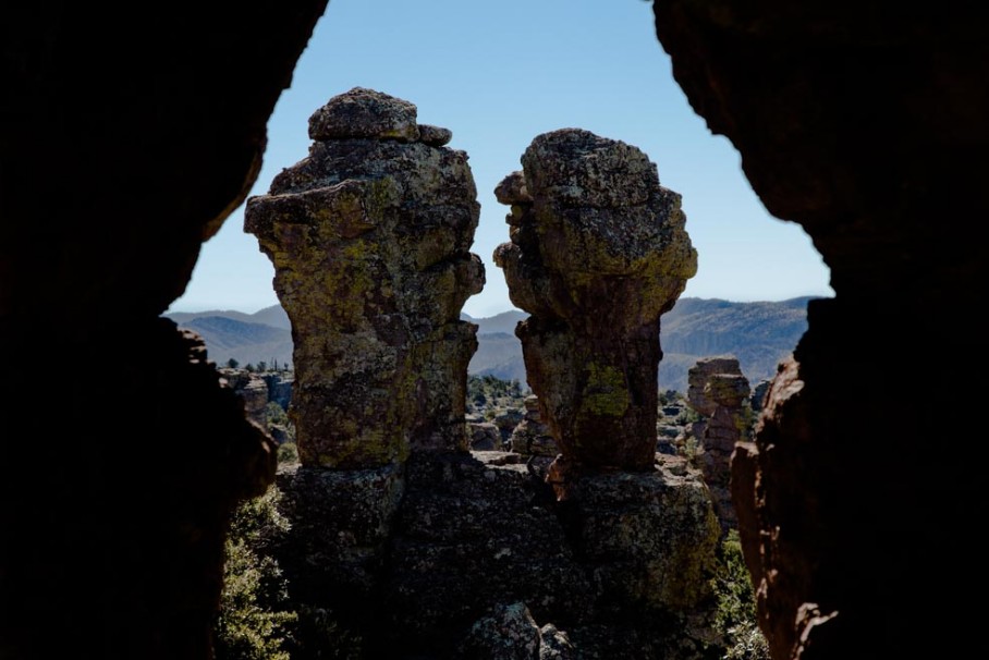 Judy and Punch im Chiricahua National Monument