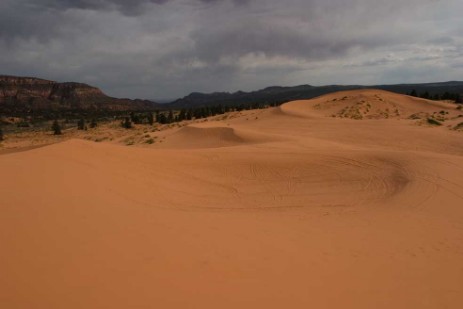 Coral Pink Sand Dunes