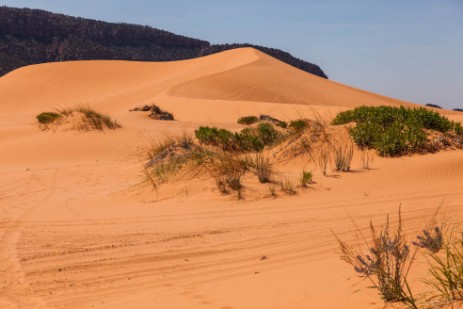 Coral Pink Sand Dunes