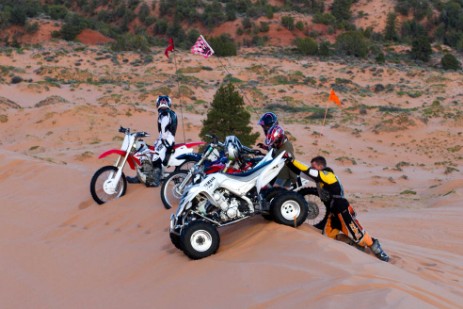 Coral Pink Sand Dunes Dunebuggies
