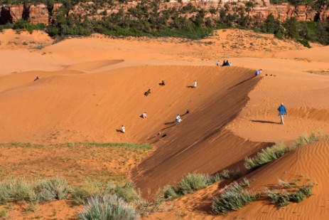 Coral Pink Sand Dunes