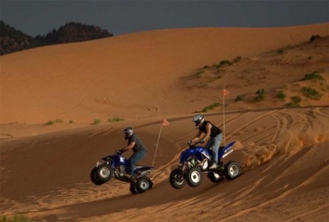 Dunebuggies