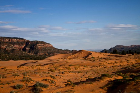 Coral Pink Sand Dunes