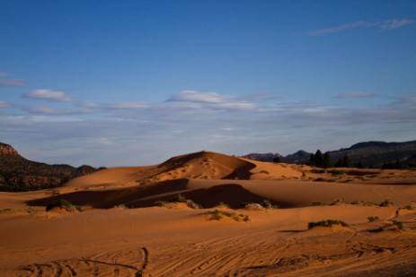 Coral Pink Sand Dunes