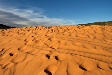 Coral Pink Sand Dunes