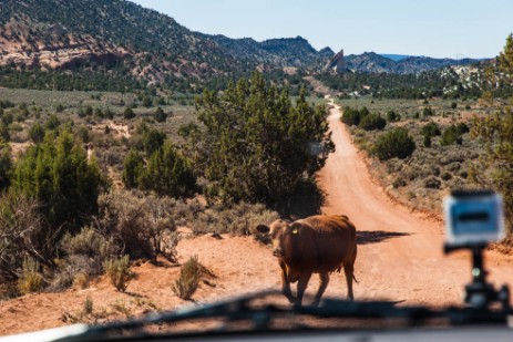 Grand Staircase Escalante National Monument