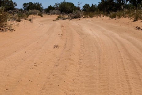 Piste zu Coyote Buttes South