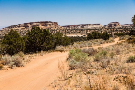 Piste zu Coyote Buttes South