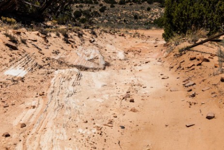 Piste zu Coyote Buttes South