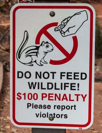 Warnschild Don't feed the Wildlife