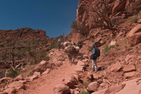 South Kaibab Trail im Grand Canyon