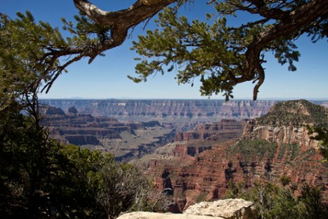 Grand Canyon North Rim