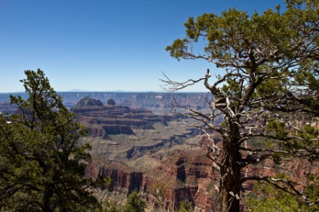 Grand Canyon North Rim