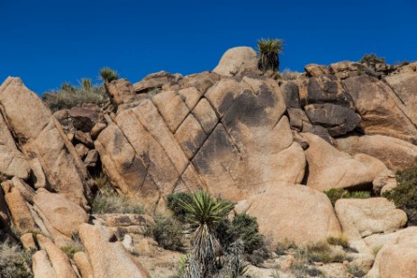 Felsformationen im Joshua Tree Nationalpark