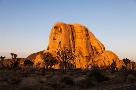 Joshua Tree Nationalpark