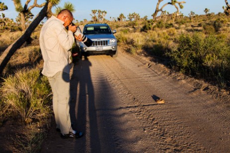 Joshua Tree Nationalpark