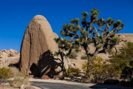 Joshua Tree  Nationalpark