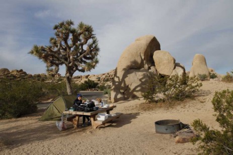 Campingplatz im Joshua Tree Nationalpark