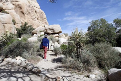 Hidden Valley Trail