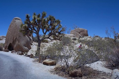 Jumbo Rock Campground im Joshua Tree Nationalpark