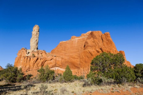 Dinosaur Rocks im Kodachrome Basin