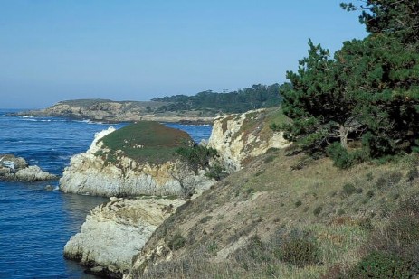 Point Lobos Statepark