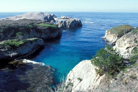 Point Lobos Statepark