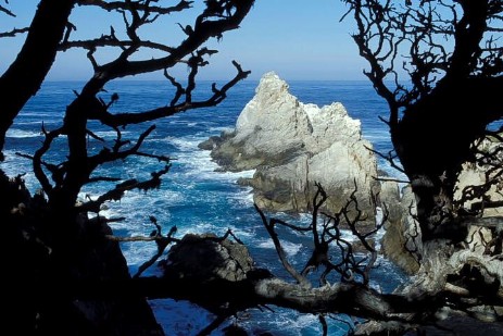 Point Lobos Statepark