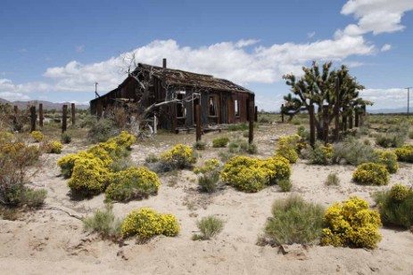 Ruine im Mojawe National Monument Kalifornien