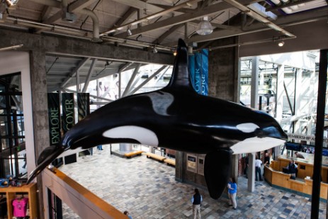 Monterey Aquarium