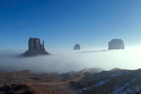 Mittens im Nebel