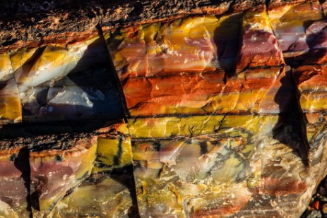 Crystal Forrest im Petrified Forest Nationalpark 