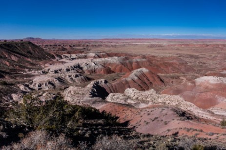 Painted Dessert