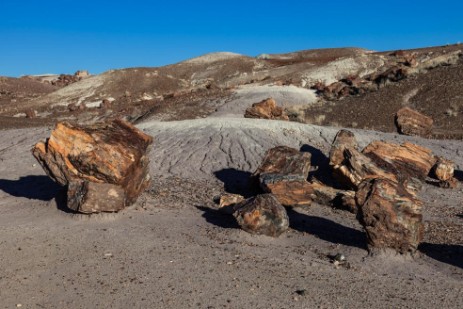 Blue Mesa Trail im Petrified Forest Nationalpark