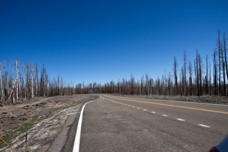 Fahrt zum Grand Canyon North Rim