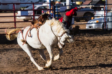 Rodeo im Bryce Canyon Village