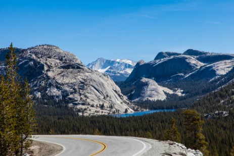 Tioga Road