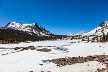 Tioga Road