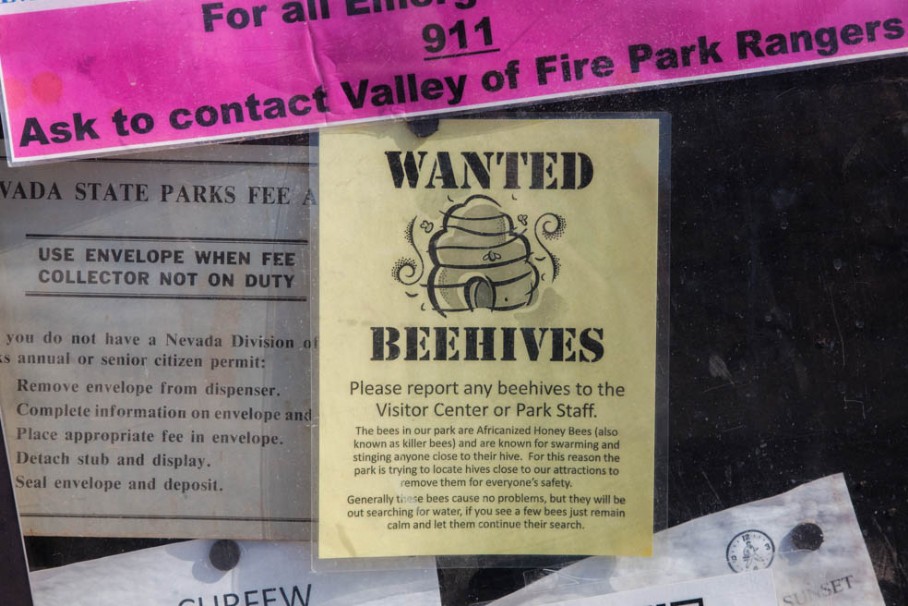 Bienenwarnung
