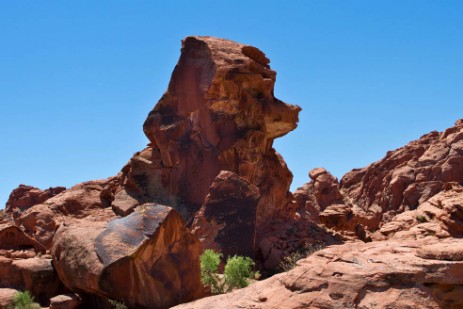 Poodle Rock im Valley of Fire