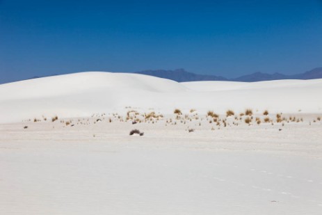 White Sands